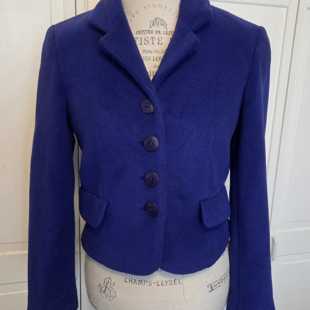 Express 90s Royal Blue Fleece Blazer